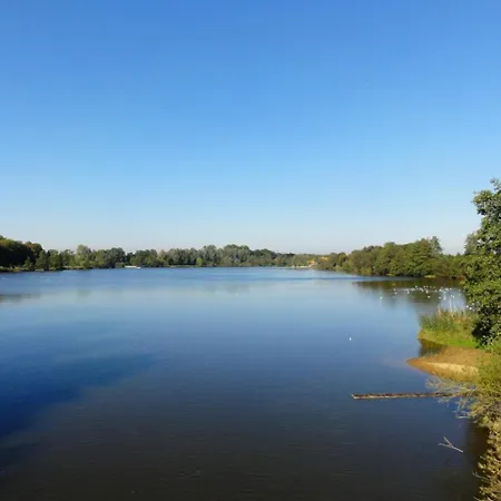 Vechteblick - *